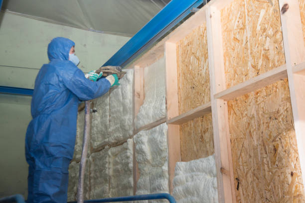 Insulation Replacement Services in Hudson, MI